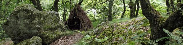 Forêt de Multonne