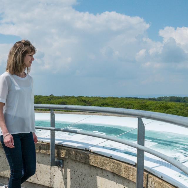 En haut du belvédère - Mont des Avaloirs