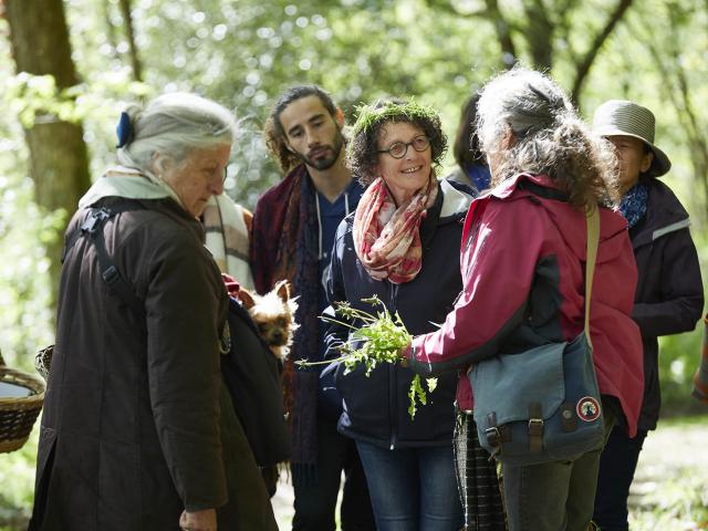 À la rencontre des plantes