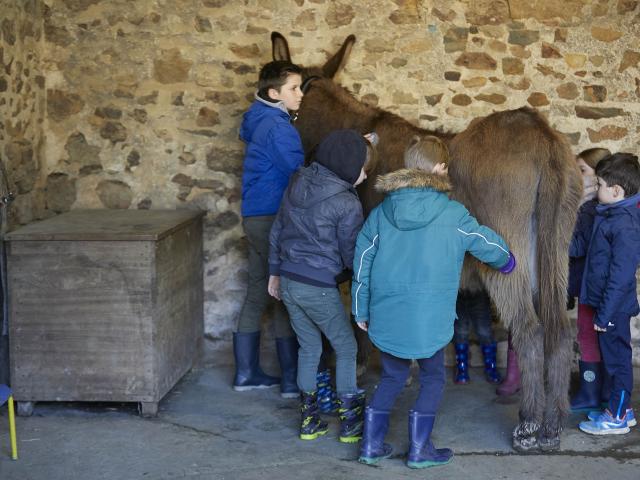 Asinerie Bois Gamat - Atelier Petit Soigneur