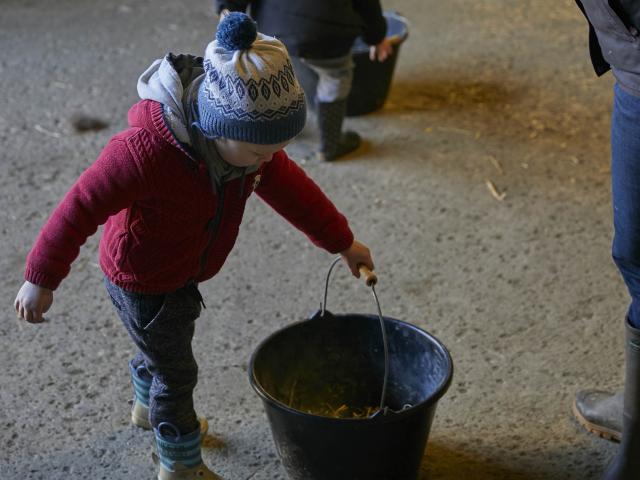 Asinerie Bois Gamat - enfant et seau