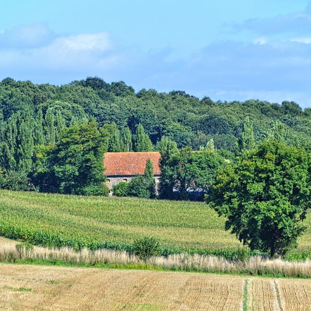 Ferme Haute Mayenne