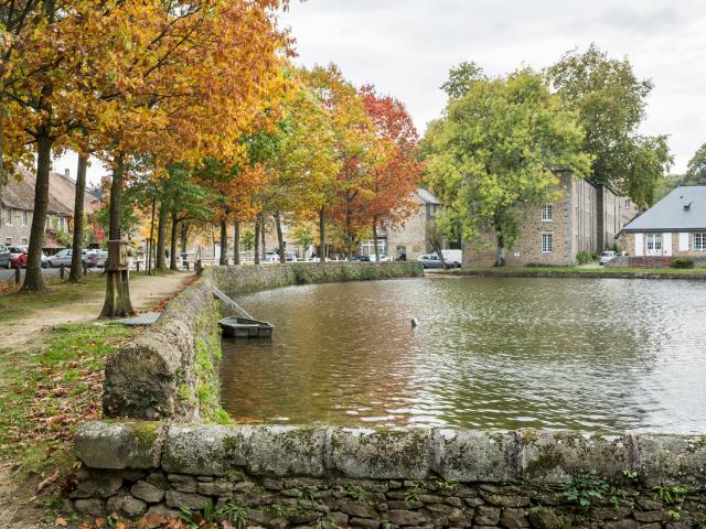 Fontaine Daniel  -- Les Toiles de Mayenne