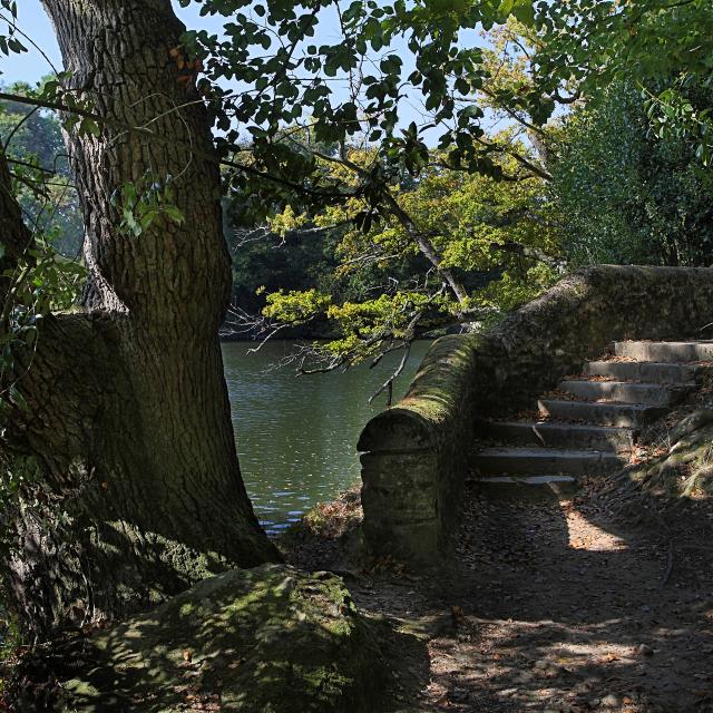 Fontaine Daniel