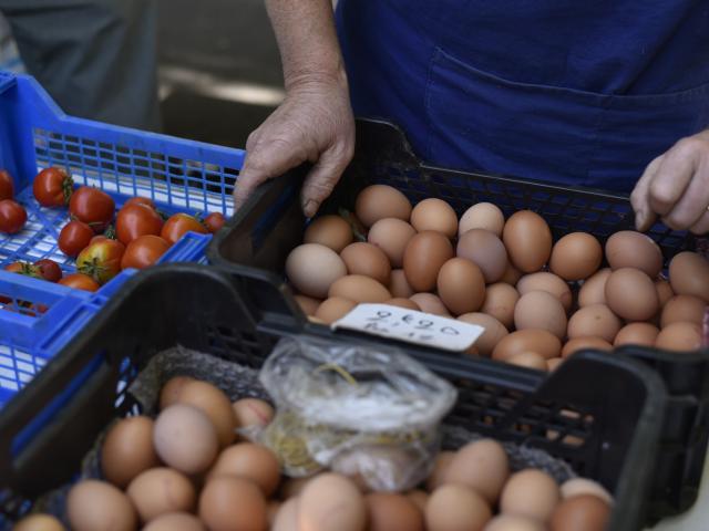 Les oeufs du marché