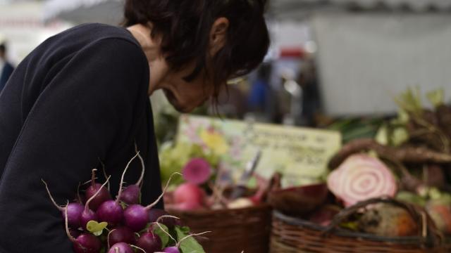 Marché de Laval - produis bio