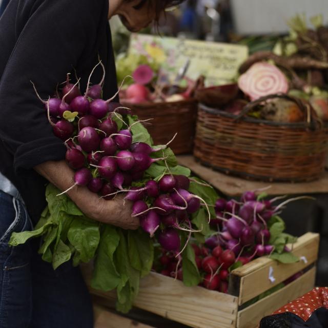 Marché de Laval - produis bio