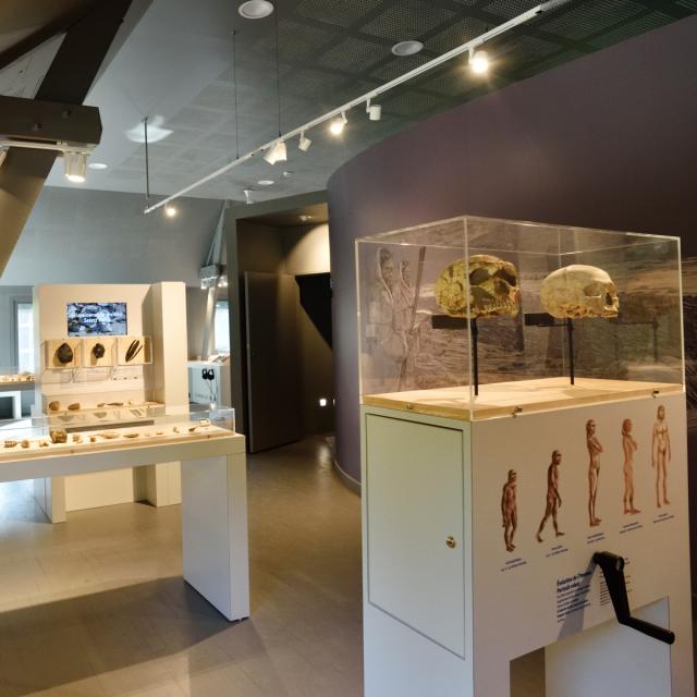 Musée de Préhistoire Saulges