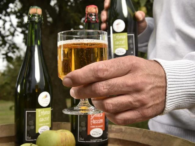 Production De Cidre - Ferme du theil à Andouillé