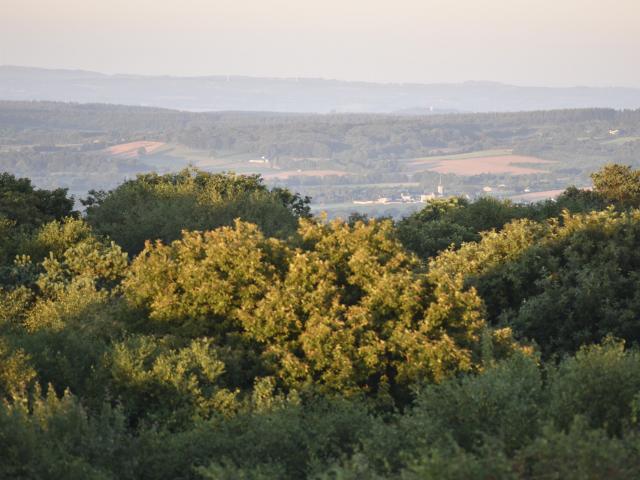 Vue du belvédère du Mont des Avaloirs