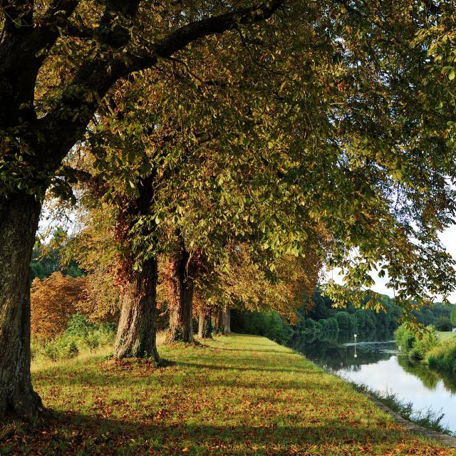 Riviere La Mayenne à Menil