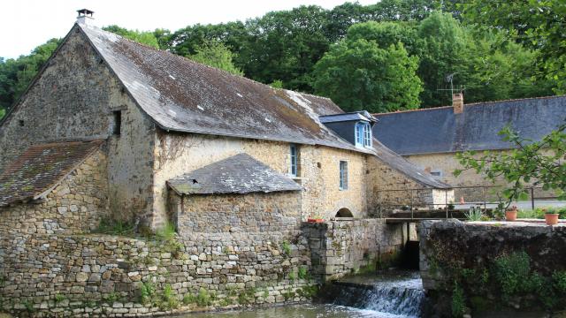 Le Moulin De Go - St Pierre Sur Erve