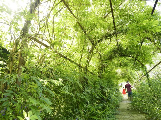 Jardin de La Pellerine