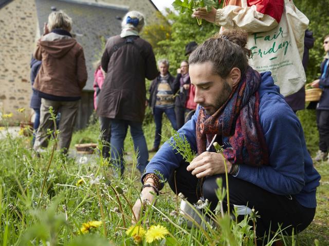 A la rencontre des plantes - cueillette de fleures comestibles