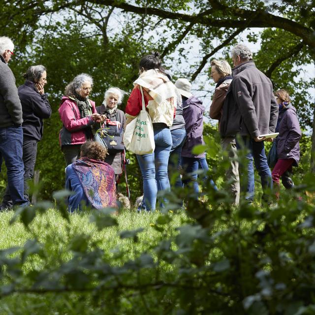 A la rencontre des plantes - chemin des coevrons