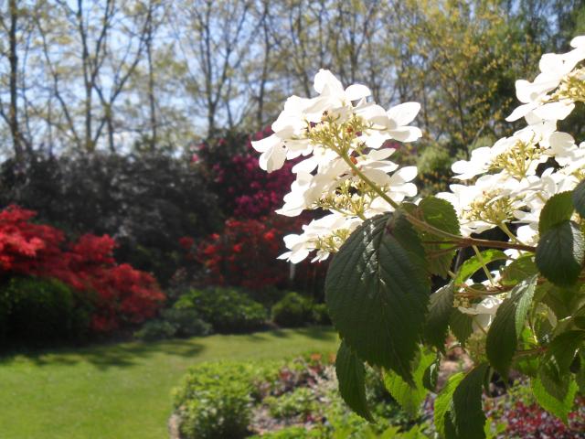 Jardins Des Renaudies