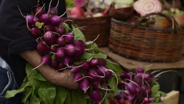 Sur le marché de Laval