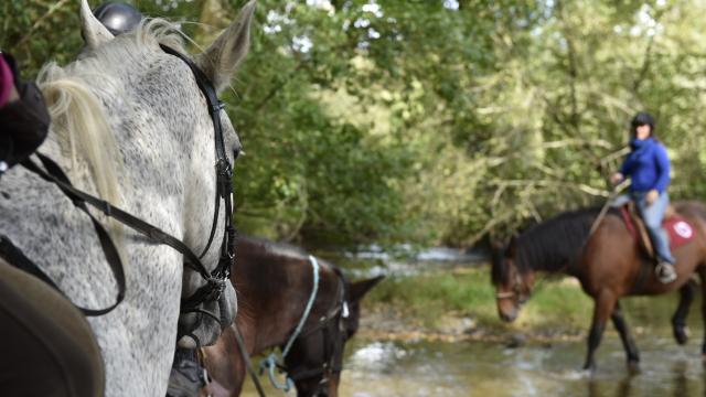 Randonnee A Cheval Madré