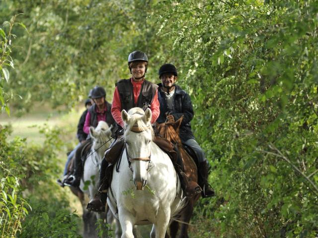 Randonnee à Cheval à la Ferme du chemin à Madré