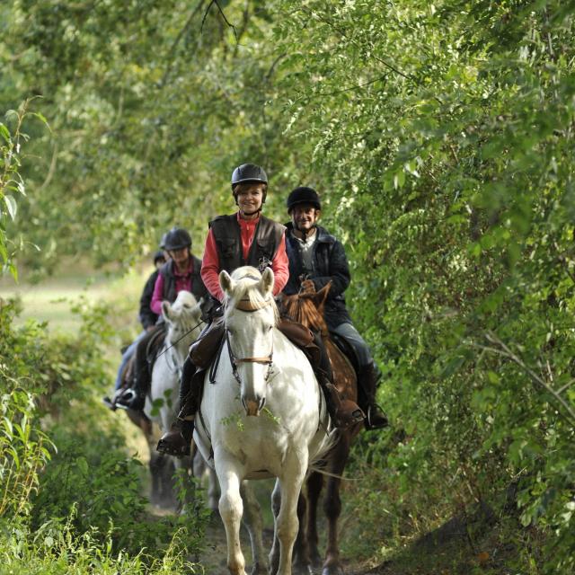 Randonnee à Cheval à la Ferme du chemin à Madré