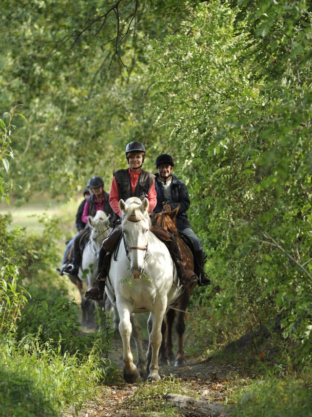 Randonnee à Cheval à la Ferme du chemin à Madré