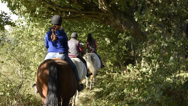 Randonnee à Cheval à la Ferme du chemin à Madré