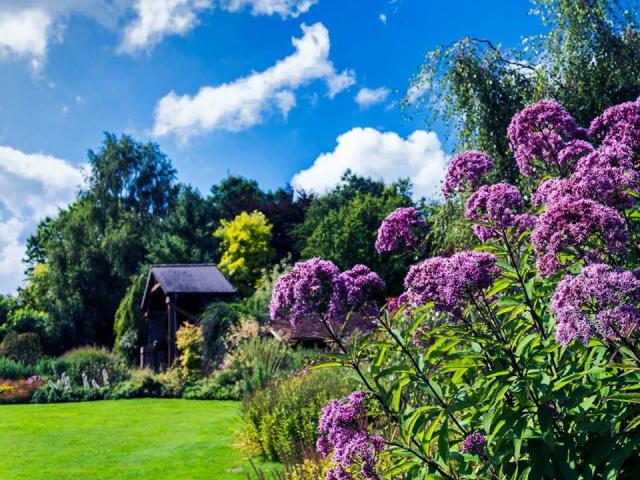 Jardins des Renaudies