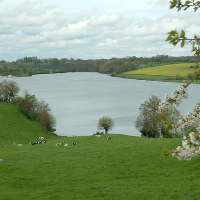 Lac de Haute Mayenne