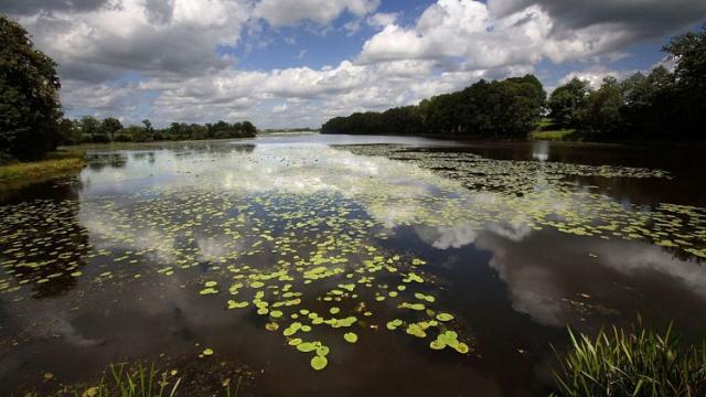 Etang Neuf de Juvigné