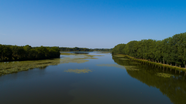 Etang Neuf De Juvigné