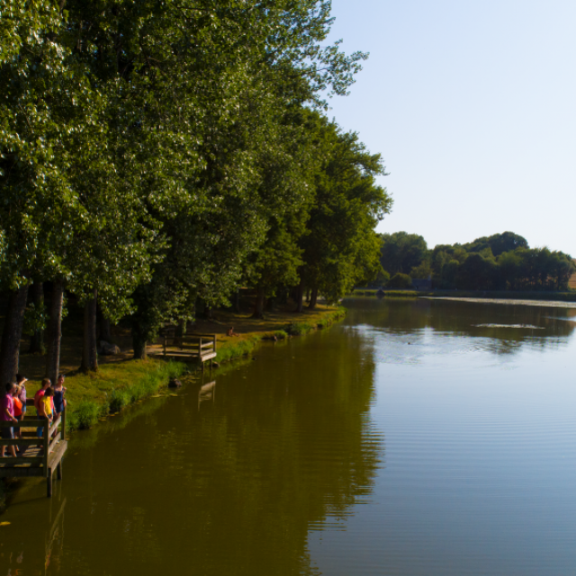 Etang Neuf De Juvigné