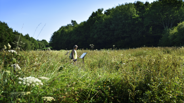 Tourbières Des Bizeuls