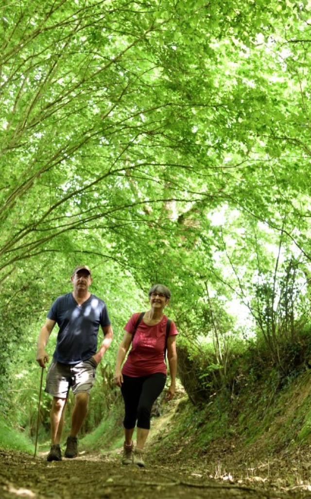 Randonnée en Haute Mayenne