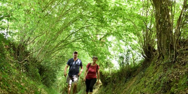 Randonnée en Haute Mayenne