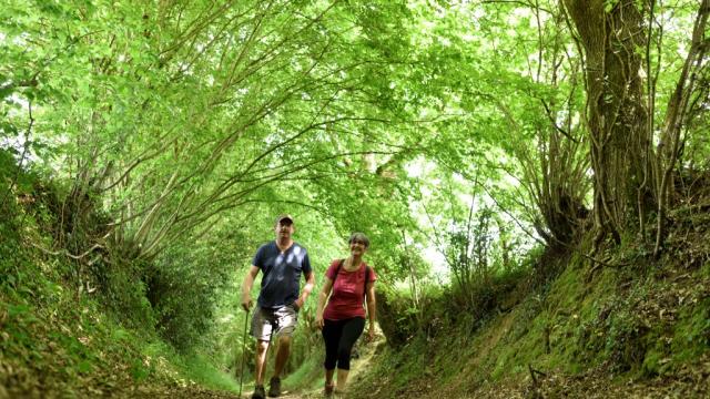 Randonnée en Haute Mayenne