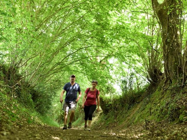 Randonnée en Haute Mayenne