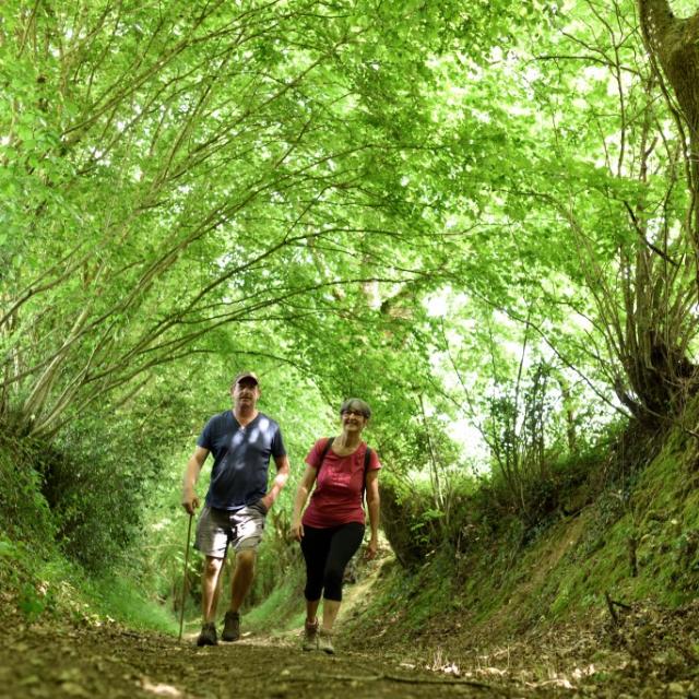 Randonnée en Haute Mayenne