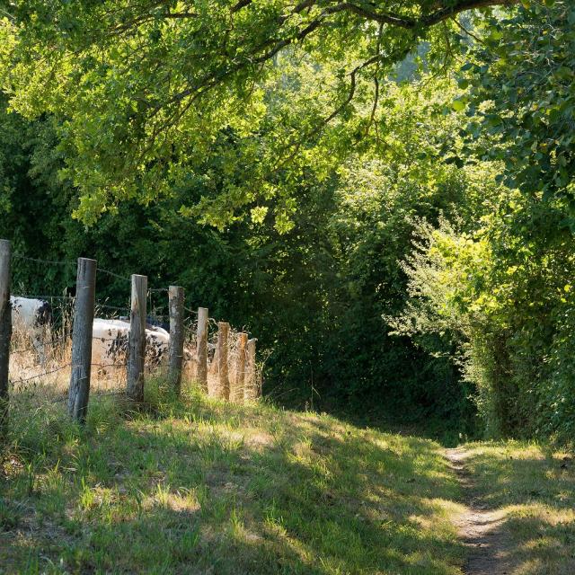 Randonnée en Haute Mayenne