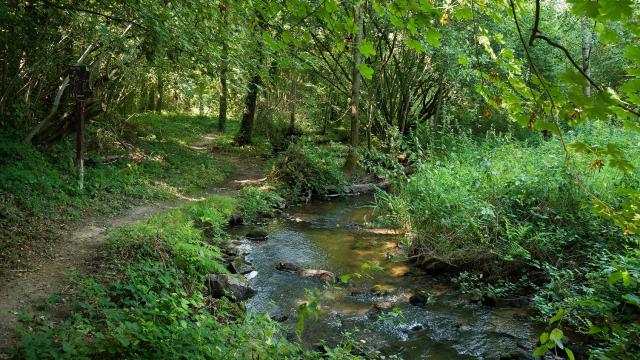 Randonnée en Haute Mayenne