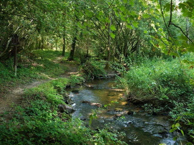 Randonnée en Haute Mayenne