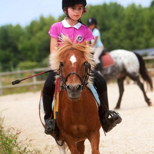 Cheval Camping Parc des Vaux