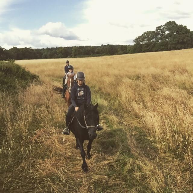 Balade A Cheval Mayenne