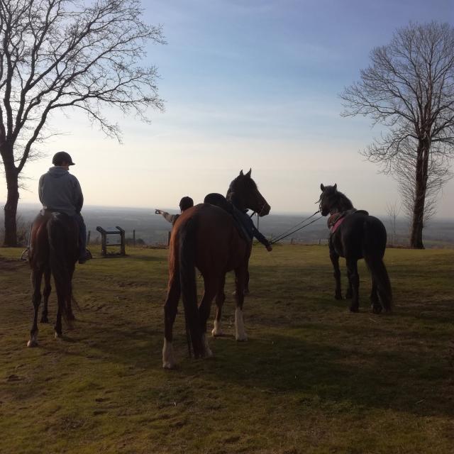 Balade A Cheval Montaigue Mayenne