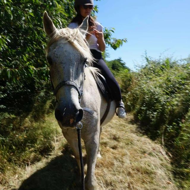 Balade à Cheval Domaine des Pierres Jumelles Mayenne