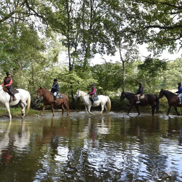 Randonnee A Cheval Madre Cp Pascal Beltrami Mayenne Tourisme 1920px(1)