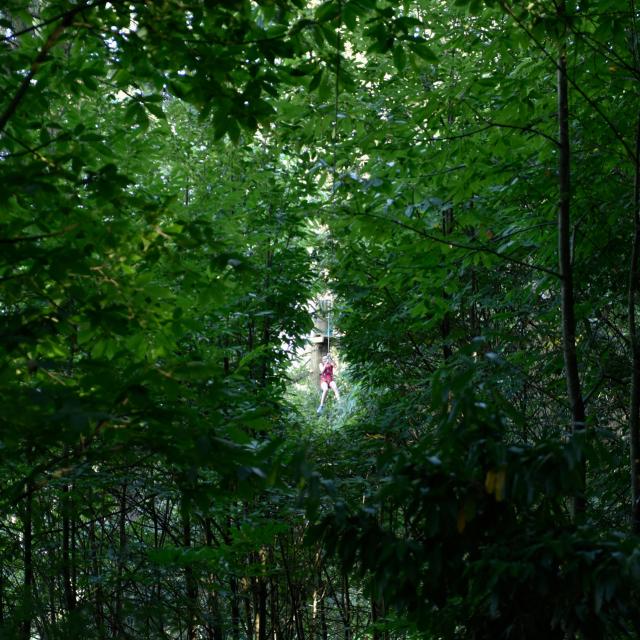 Parcours Accrobranche Au Bois A Force Force Cp Pascal Beltrami Mayenne Tourisme L Orbiere Domaine De Loisirs Hebergements Et Receptions 1920px(9)