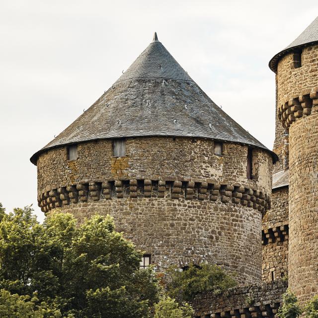 Chateau De Lassay Lassay Les Chateaux Cp Alexandre Lamoureux (7)