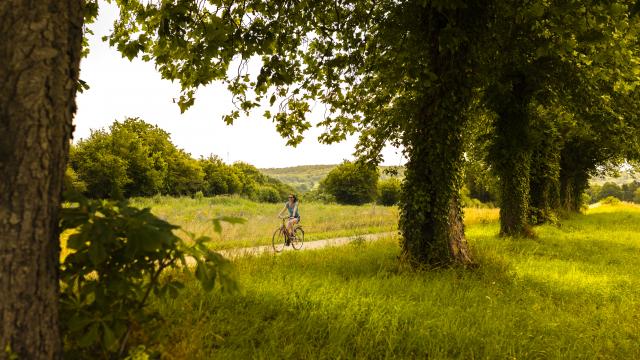 La Véloscénie