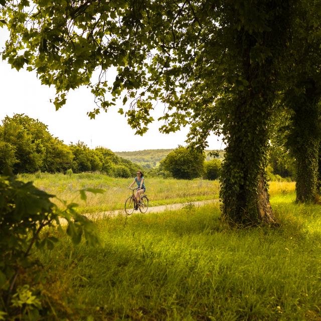 La Véloscénie