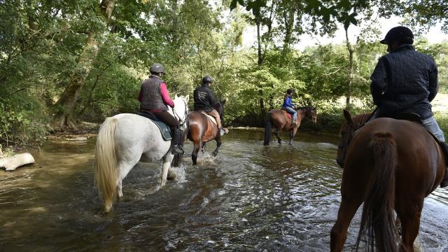 Randonnee A Cheval Madre Cp Pascal Beltrami Mayenne Tourisme 1920px